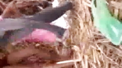 ரஷ்ய தம்பதிகள் ஒரு பிரான்கி வளர்ப்பு ஆபாச ஹோட்டலில் உடலுறவு கொள்கிறார்கள்