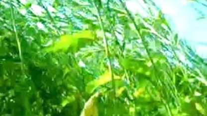 லத்தீன் உடன் குழு வீட்டில் ஆபாச செக்ஸ் வீடியோக்கள் செக்ஸ்