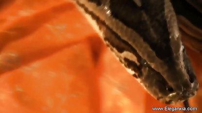 கழுதையில் பஞ்சாபி வீட்டில் மனைவி செக்ஸ் ராட்சத சேவல்
